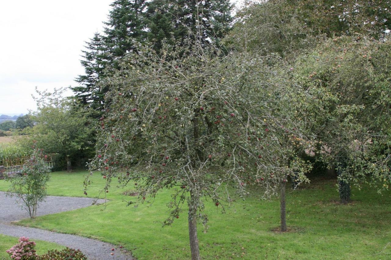 Moyon The Magnolias B&B מראה חיצוני תמונה